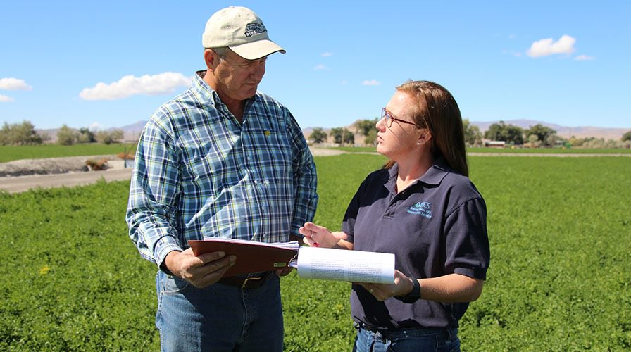 Veteran Returns to Farming Roots