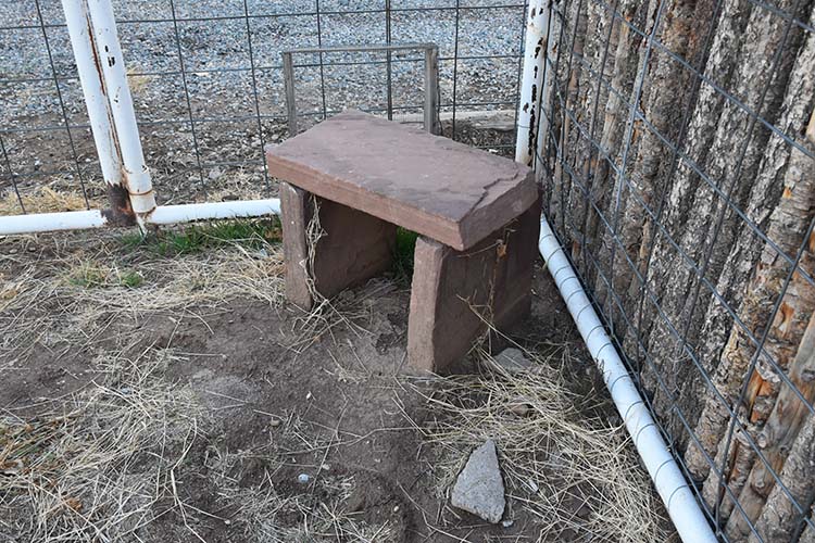 The red sandstone bench Tolani’s grandfather chiseled by hand.