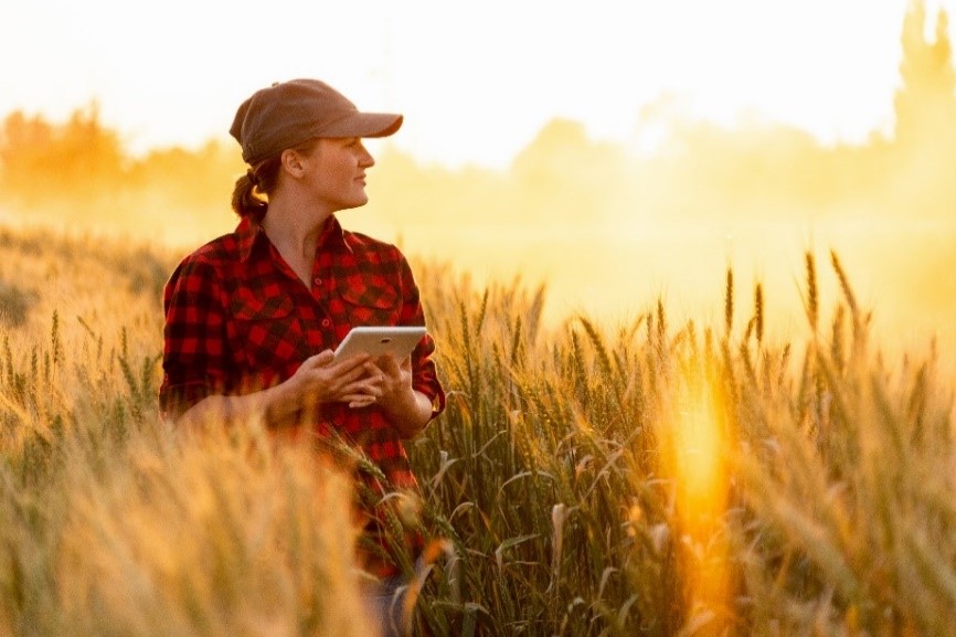 New Farmers.gov Feature Enables USDA Customers to Manage Conservation Activities Online