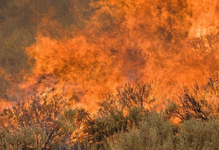 Wildfire out of control