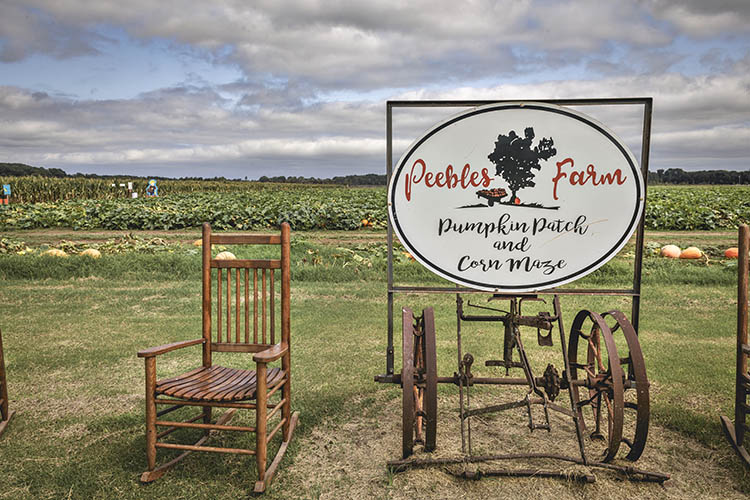 The Peebles Farm Pumpkin Patch and Corn Maze Sign in front of a pumpkin patch