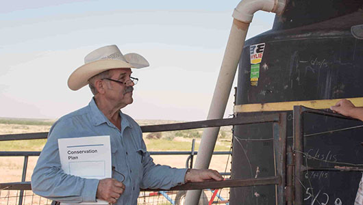 Drought-Driven Creative Thinking Leads to Innovative Water System for Cattle 