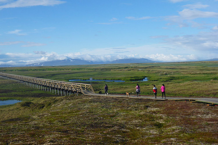 Fridays on the Farm: Growing Partnerships in Alaska