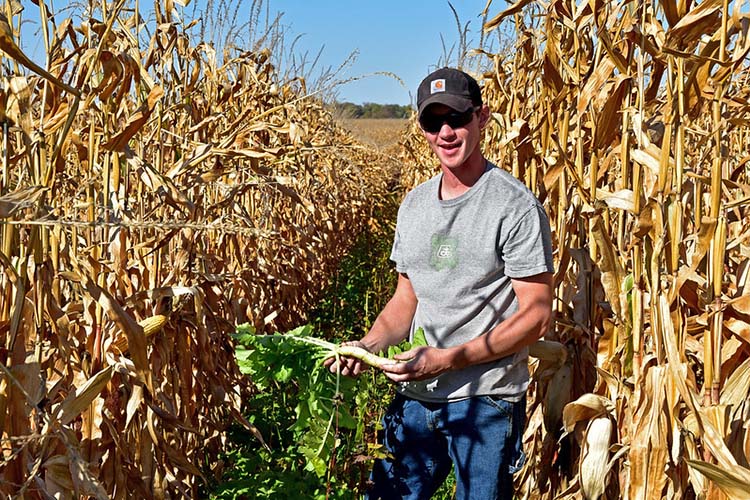 Project Participant Aarik Deering, of Postville, Iowa, will use his cover crops as winter forage for his cattle.
