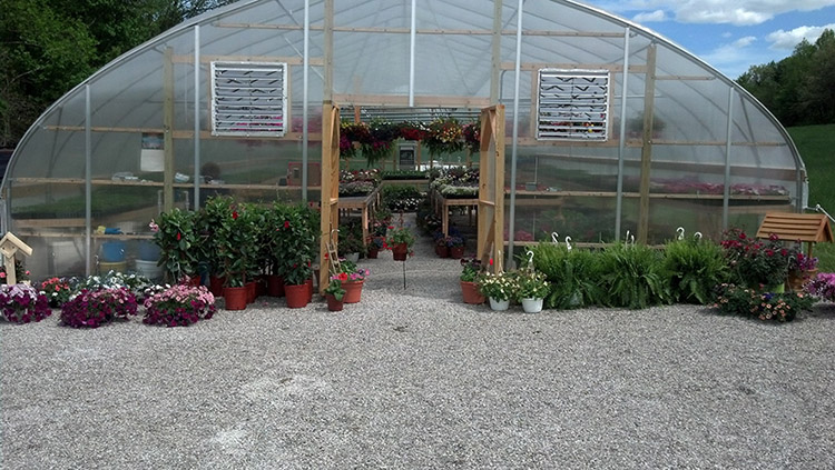 Glory Gardens and Greenhouse produce a variety of plants, including flowers, vegetable plants, herbs and hanging baskets.