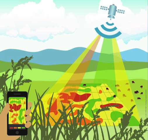 Phone using satellite to analyze crop data.