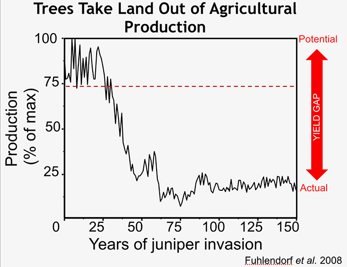 A line graph showing the yield gap between actual and potential production.