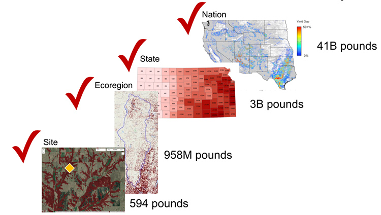 Comparison of yield gap increasing between site, ecoregion, state, and nation.