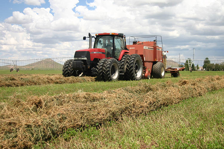 New Farmers.gov Features Help You Manage Your USDA Business Online