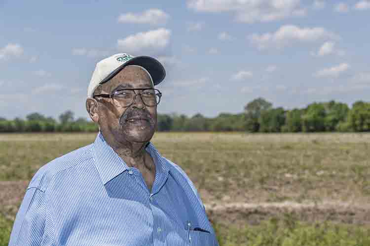 Charles grows around 260 acres of rice, soybeans, wheat, hemp, watermelon, peas, and several varieties of greens.