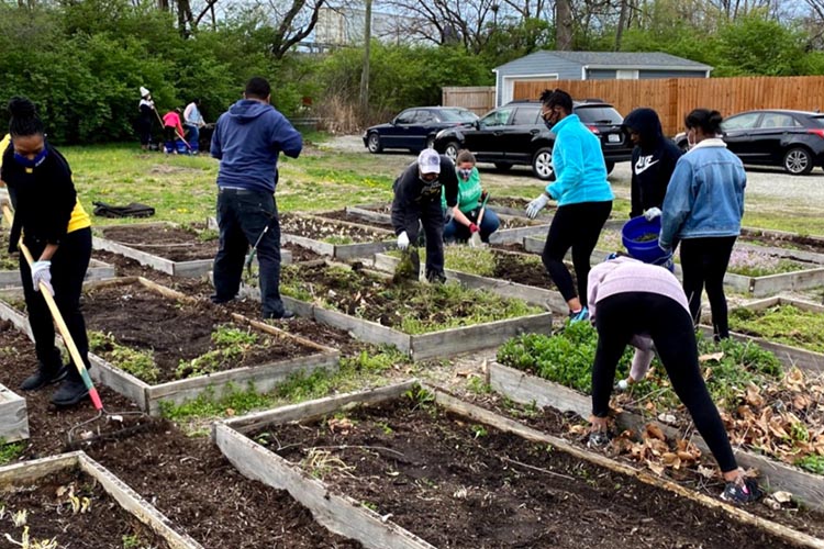 A group of youth tilling soil and working in a community garden together.