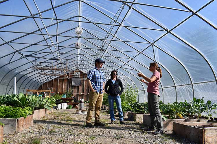 Braden, Michelle, and Kristy inside the seasonal high tunnel during the 2021 growing season. Photo by Tracy Robillard, NRCS.