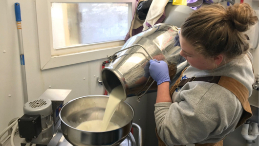 Connecticut Farm Diversifies with Dairy