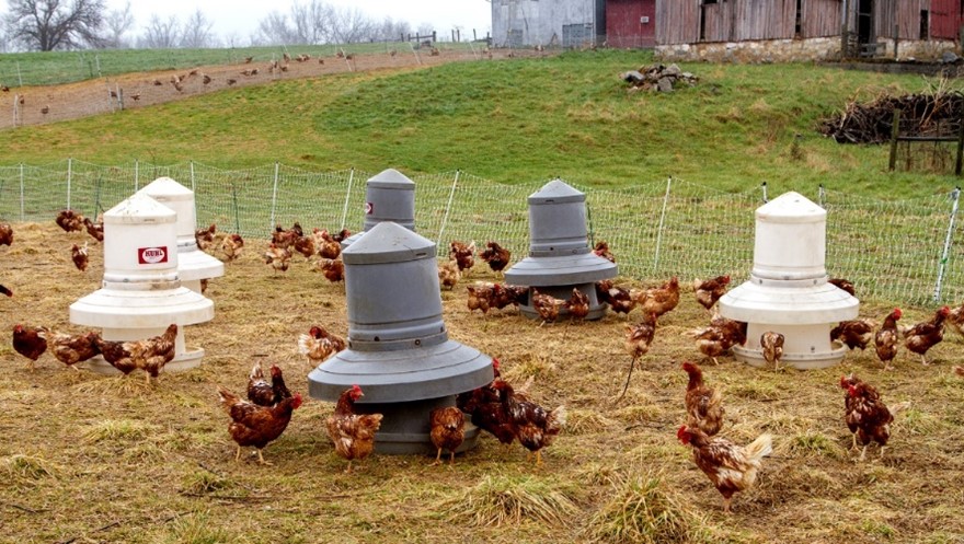Fridays on the Farm: Evolving and Diversifying for the Future 