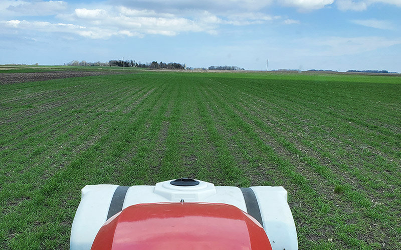 Green row crops