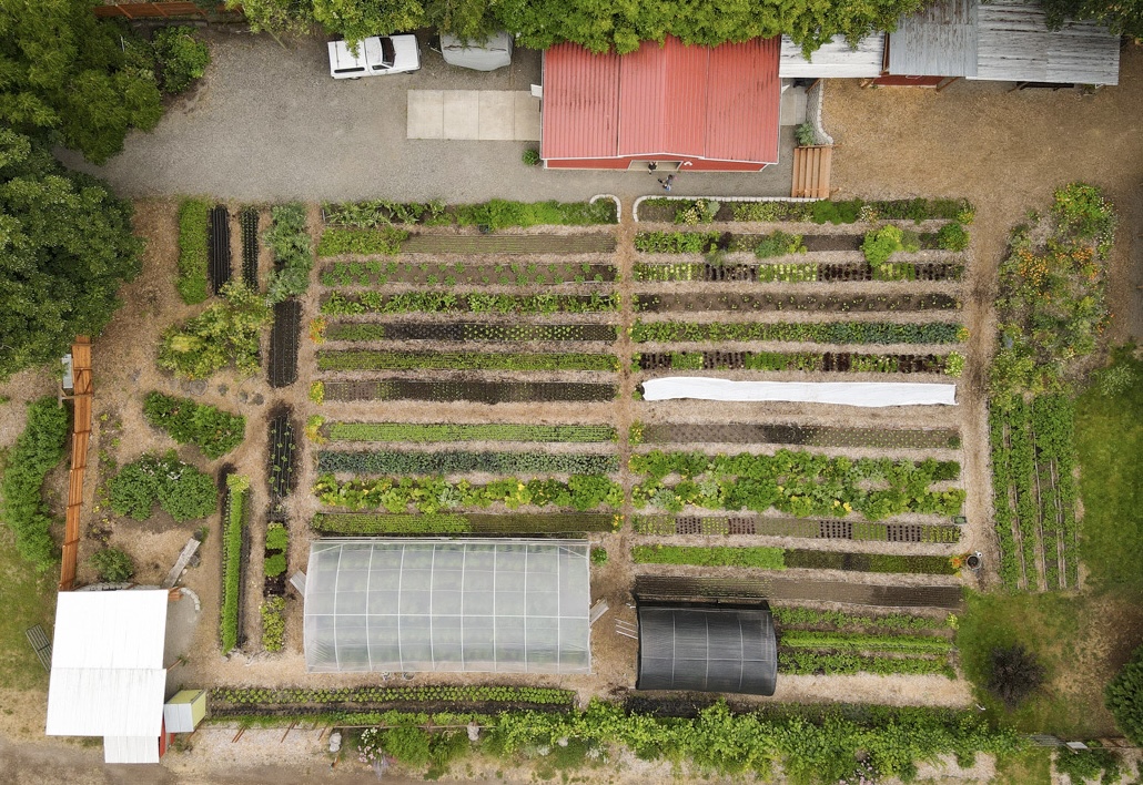 Fridays on the Farm: Cultivating a Love of Local Food in Portland