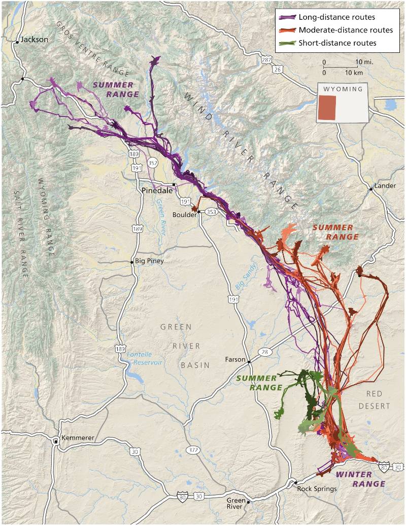 A map of sublette county in wyoming show migration patters of wildlife.