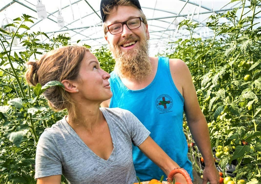 Two people standing in rows of tomato plants inside of a high-tunnel