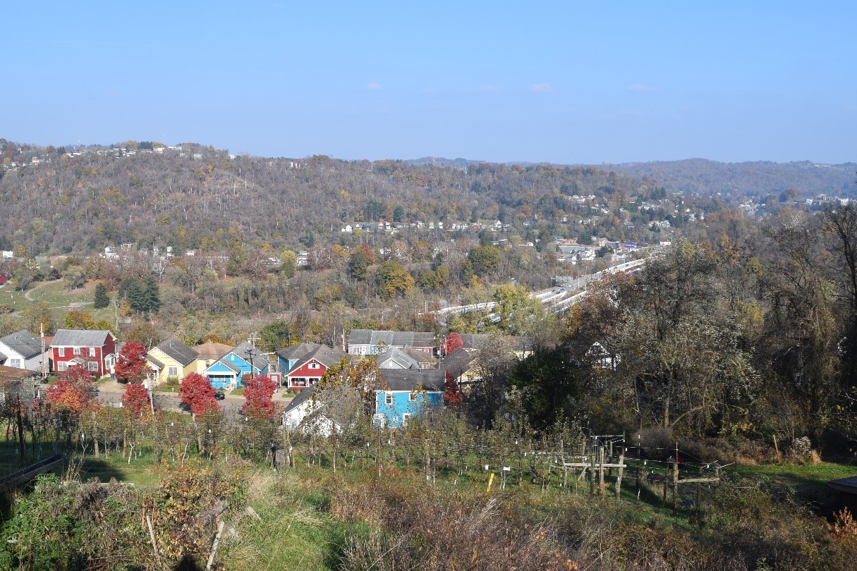Fridays on the Farm: Boosting Urban Agriculture in West Virginia