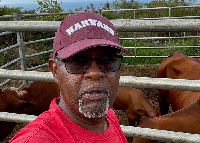 Be the Link: Bridging Gaps in the Virgin Islands 