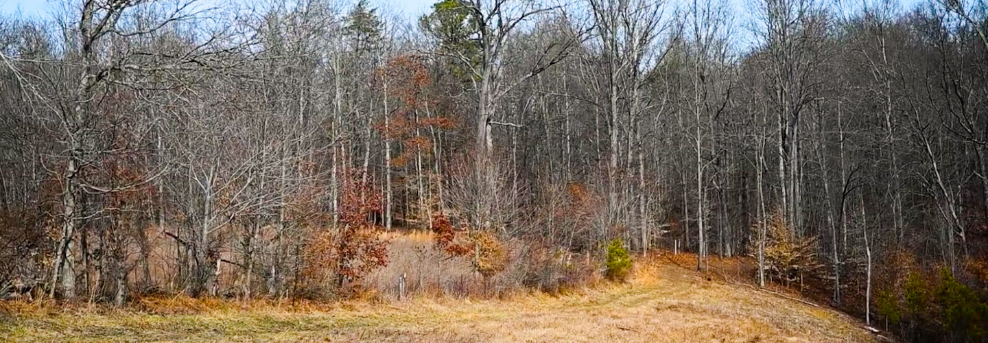 Fridays on the Farm: Improving Forest Health and Creating Habitat in Ohio 