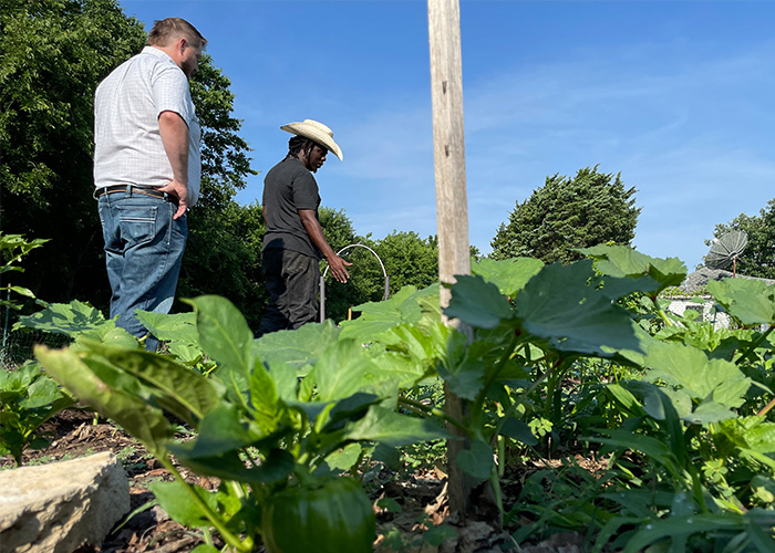 Two people examining crops