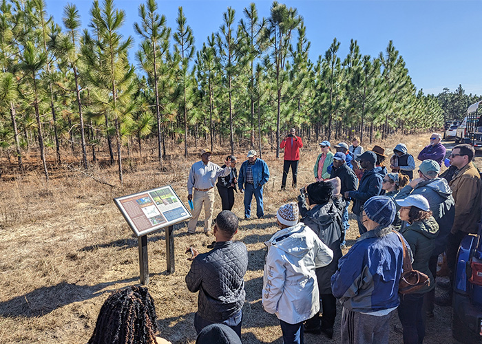 Fridays on the Farm: Lifetime of Leadership and Longleaf Conservation