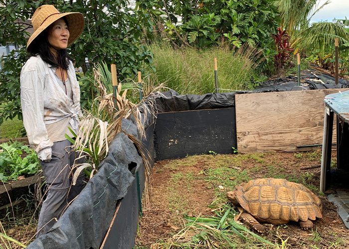 Person standing next to turtle pen