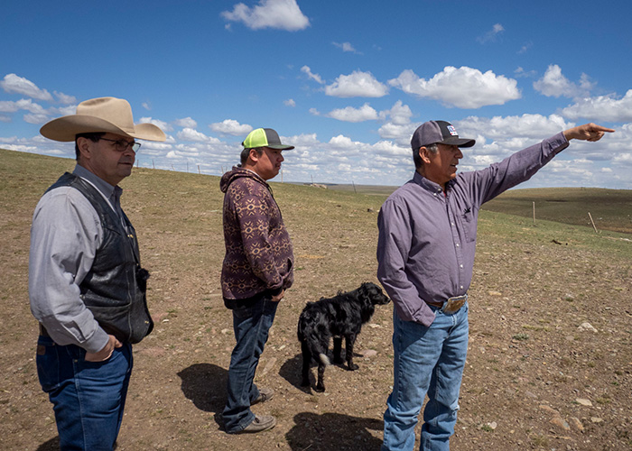 Three people and a dog standing on drought stricken land