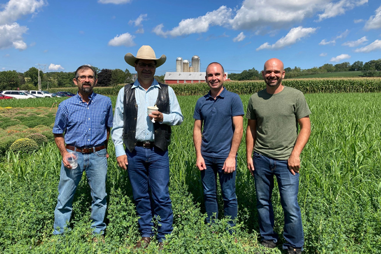 Four people standing in a field