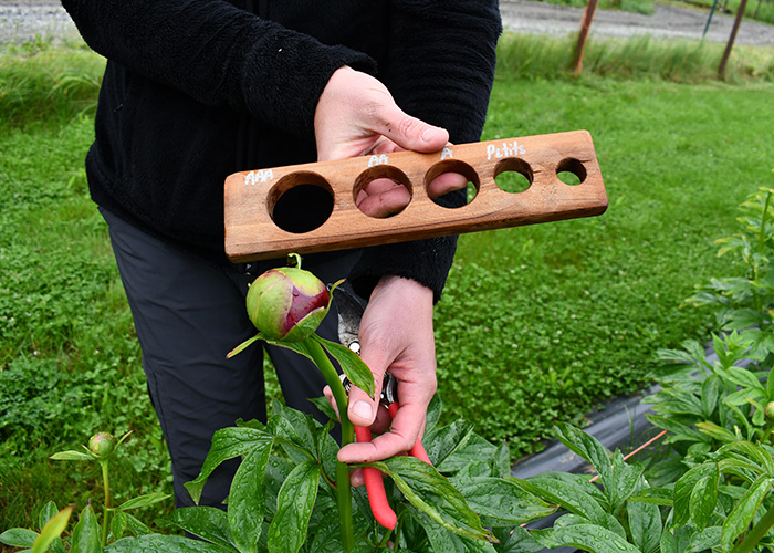 Person holding measuring tool