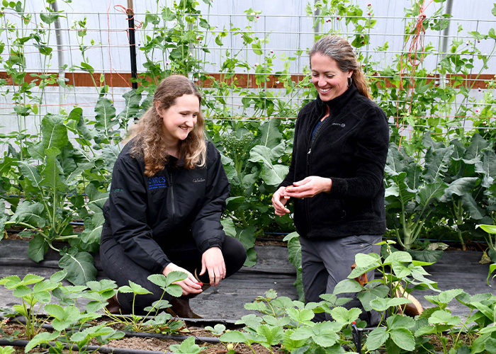 Two people examining pants in green house
