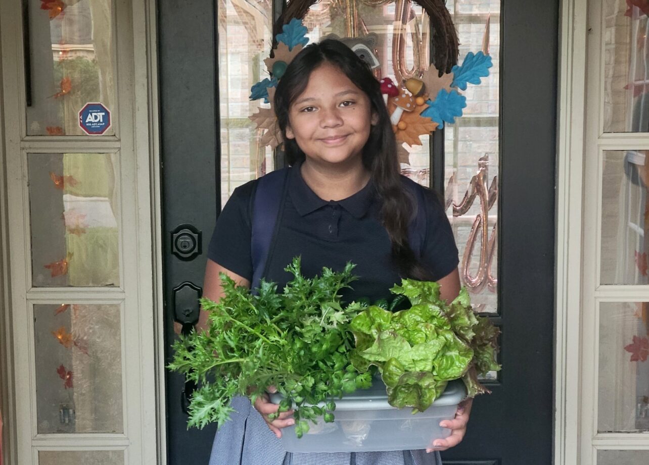 Person holding a box of lettuce
