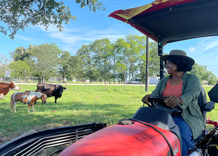 Person driving a tractor