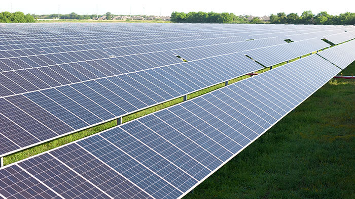 Solar panels in field