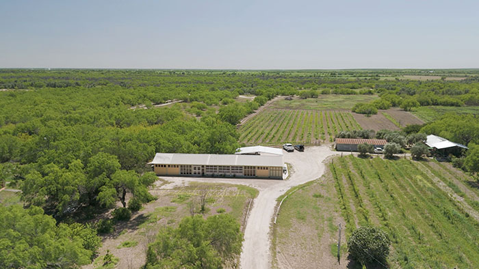 Building in the middle of winery