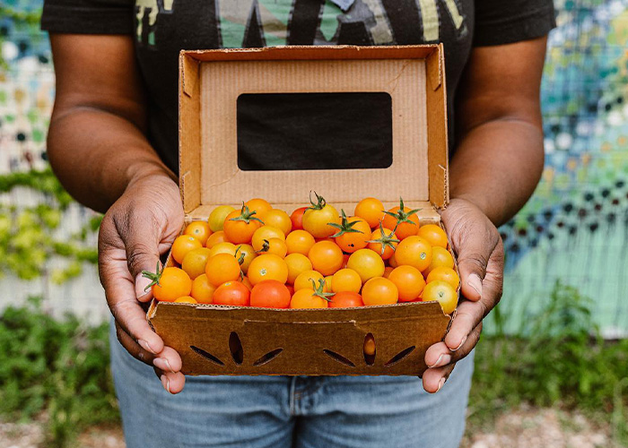 Person holding box of tomatos