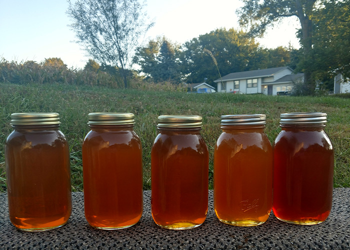 Five jars of honey sitting on the ground