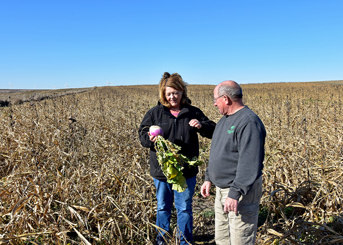 Two people in field holding a turnip