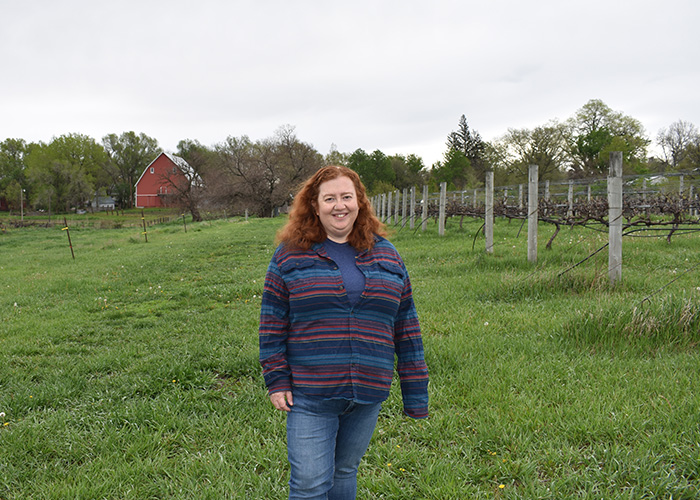 Person standing in a vineyard