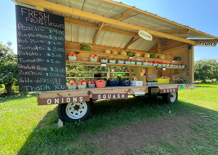 Fruit on shelves in a roadside stand