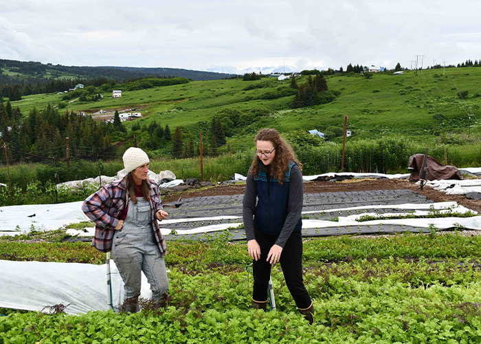 Two people working on plants