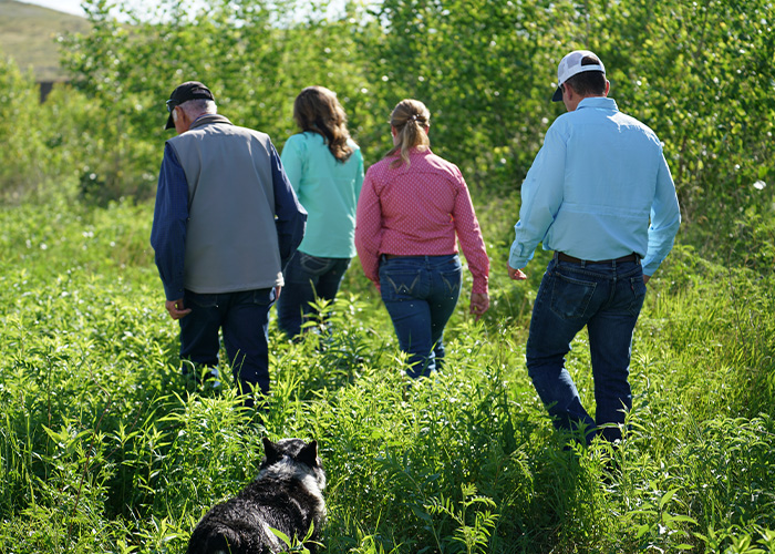Four people and a dog walking through brush