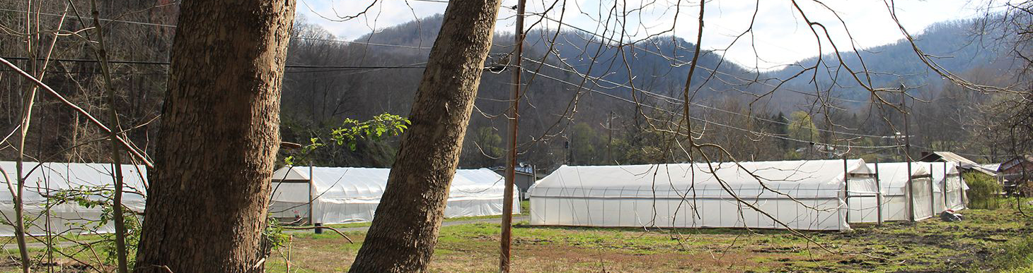 Veterans Growing Jobs, Food and Futures in West Virginia