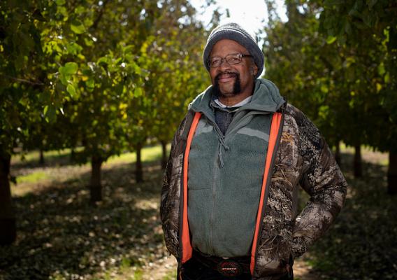 Jim Chew stands under his pistachio trees