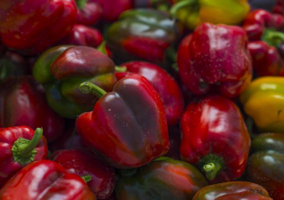 Red bell peppers