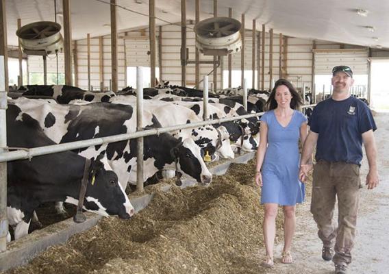 The Sunderland family with cows.