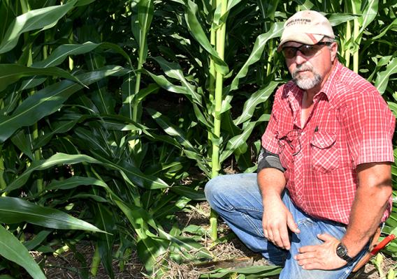 meet Bo Fox, of Monona County, Iowa.