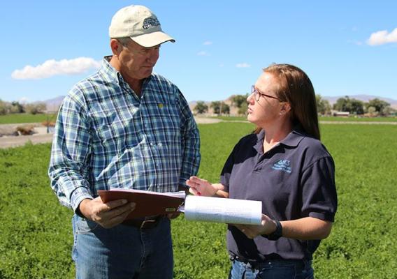 Bill Renfroe, an Air Force veteran in Lovelock, Nevada, who can now add “beginning farmer” to his resume.