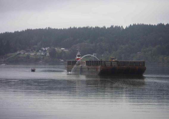Harbor